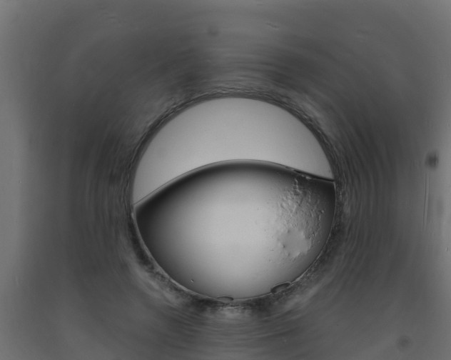 X0000093730546200710160816