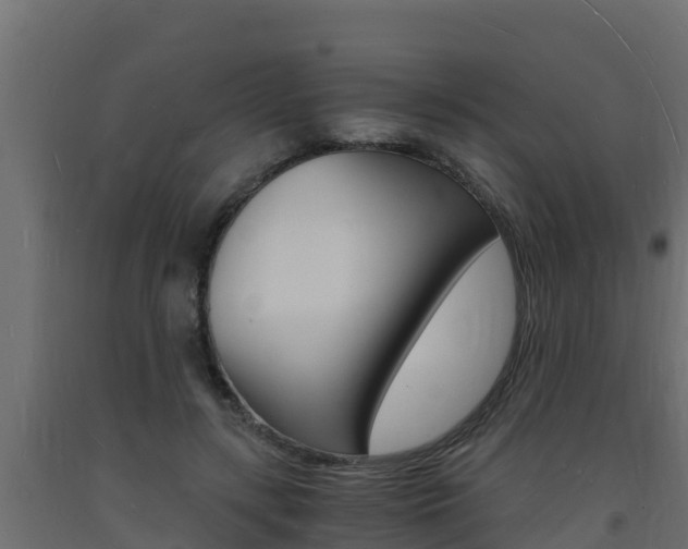 X0000093730547200710160816