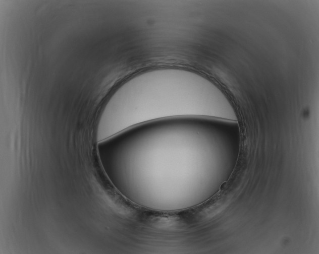X0000093730548200710160816