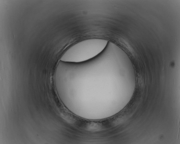 X0000093730549200710160816