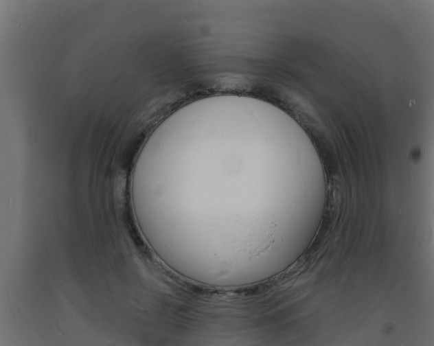 X0000093730550200710160816