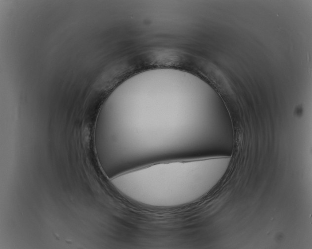 X0000093730551200710160816