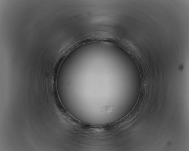 X0000093730552200710160816