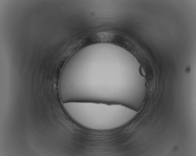 X0000093730553200710160816