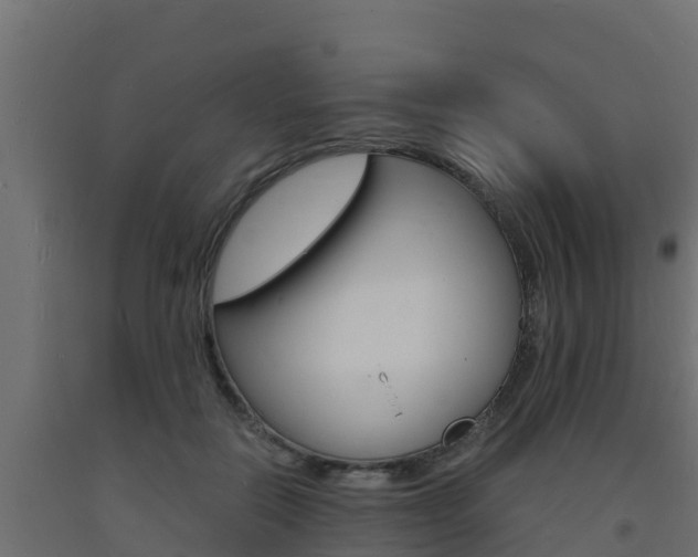 X0000093730554200710160816