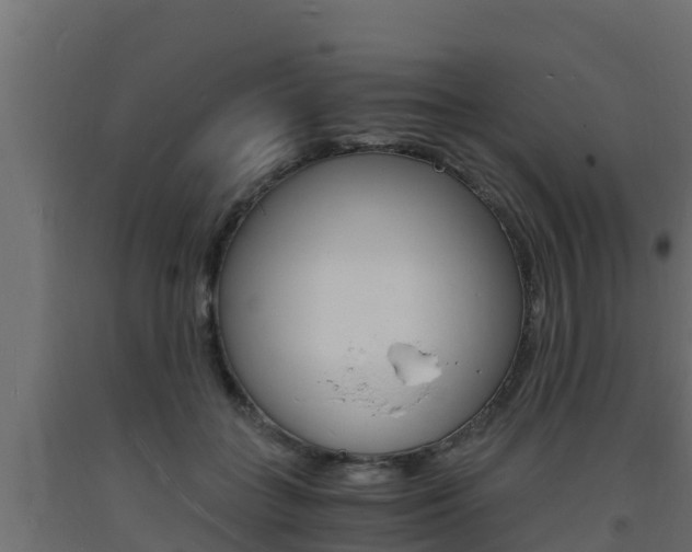 X0000093730555200710160816