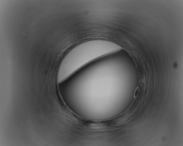 X0000093730556200710160816