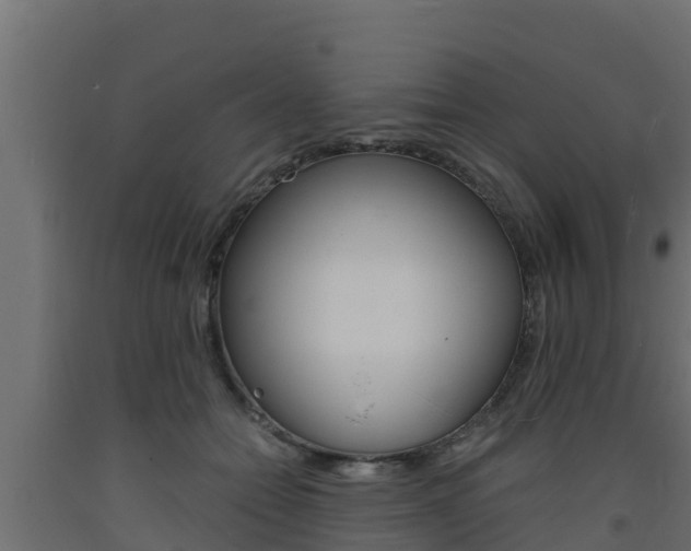 X0000093730558200710160816