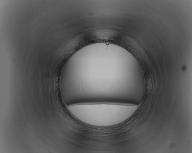 X0000093730559200710160816
