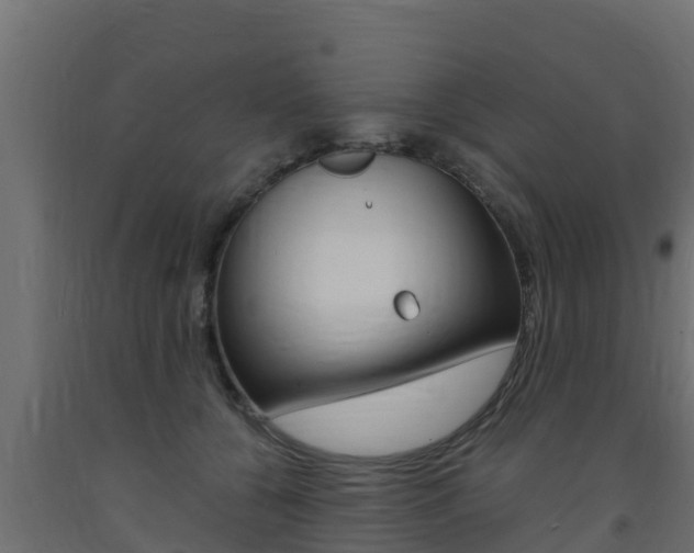 X0000093730560200710160816