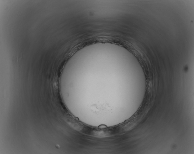 X0000093730561200710160816