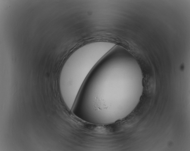 X0000093730562200710160816