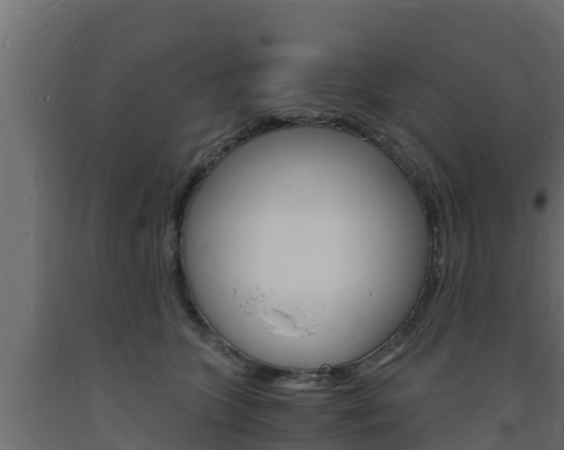 X0000093730563200710160816