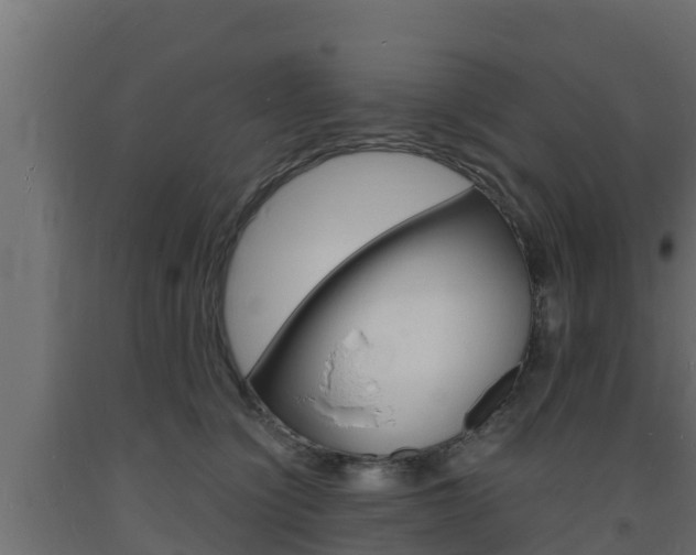 X0000093730564200710160816