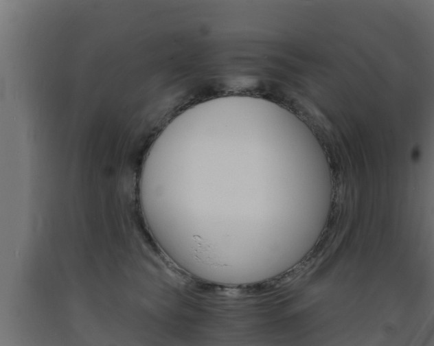X0000093730565200710160816