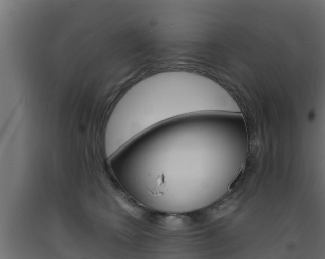 X0000093730566200710160816