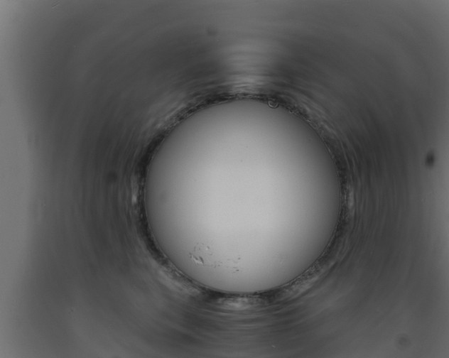 X0000093730567200710160816