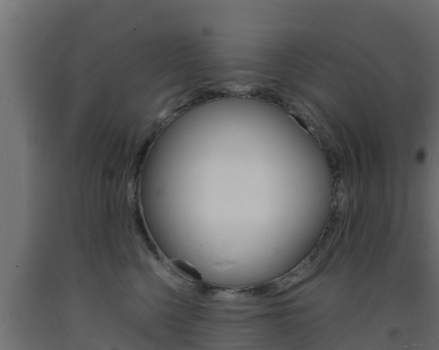 X0000093730568200710160816
