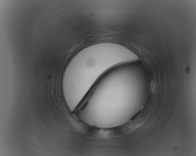 X0000093730570200710160816
