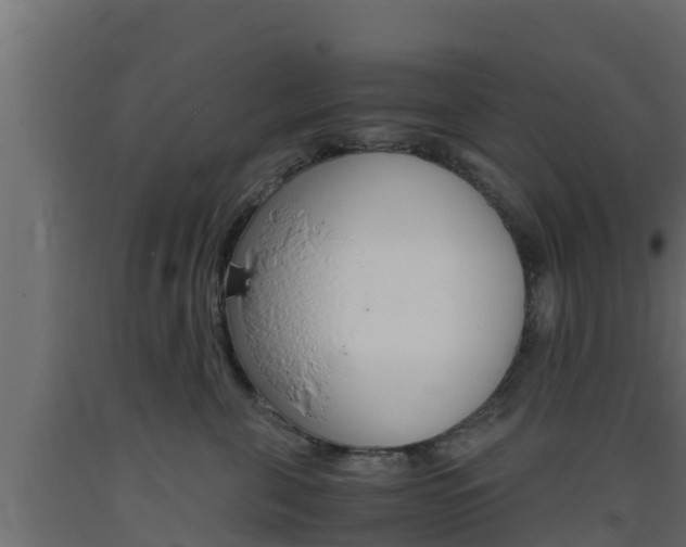 X0000093730571200710160816