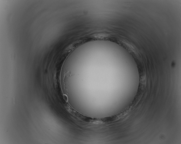X0000093730572200710160816