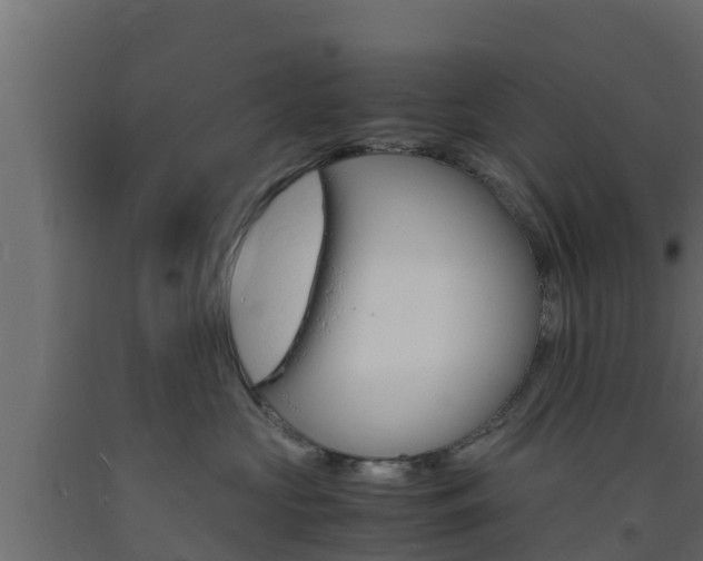 X0000093730573200710160816