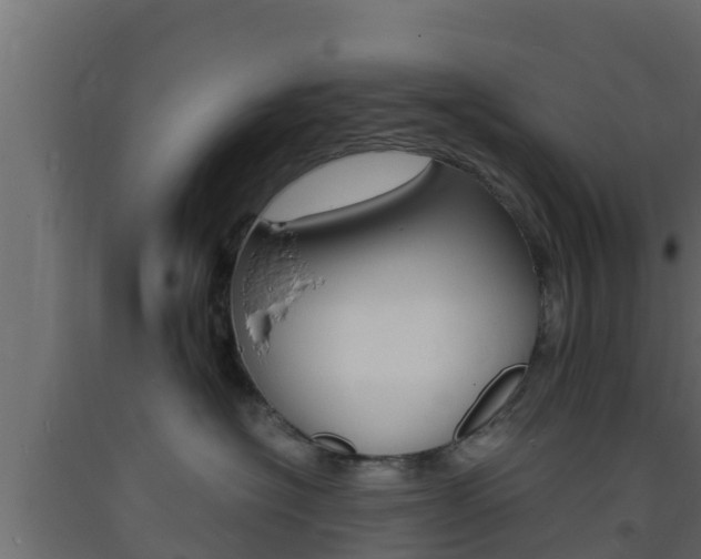 X0000093730574200710160816