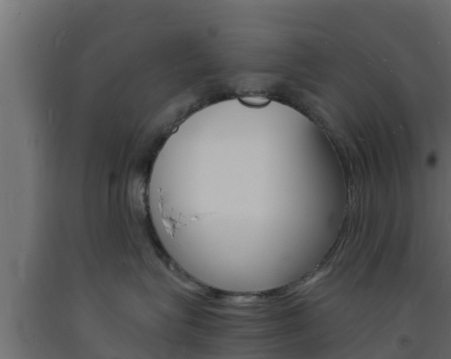 X0000093730575200710160816