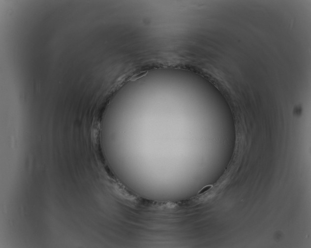 X0000093730576200710160816