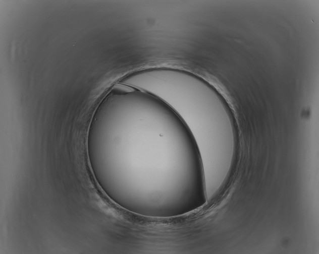 X0000093730577200710160816