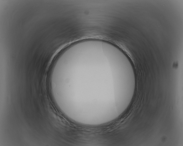 X0000093730579200710160816