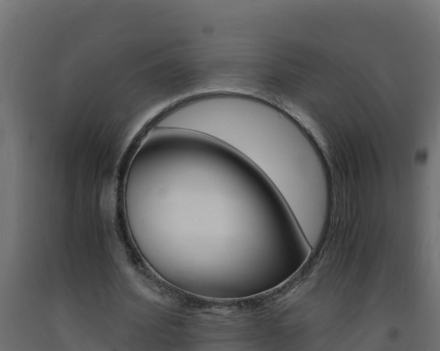 X0000093730580200710160816