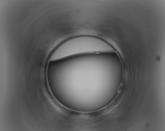 X0000093730581200710160816