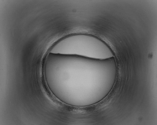 X0000093730582200710160816