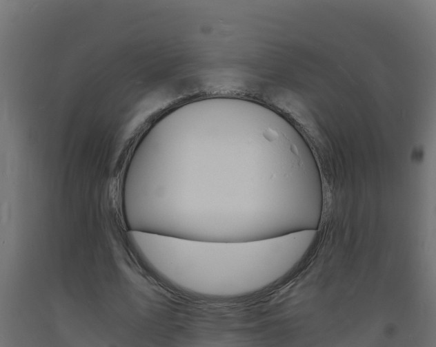 X0000093730583200710160815