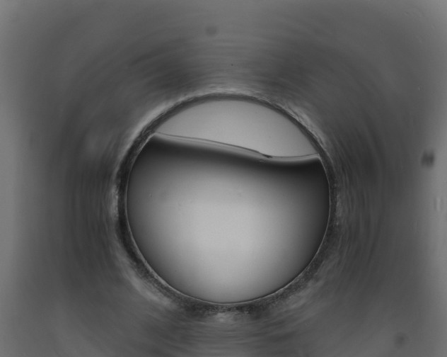 X0000093730584200710160815