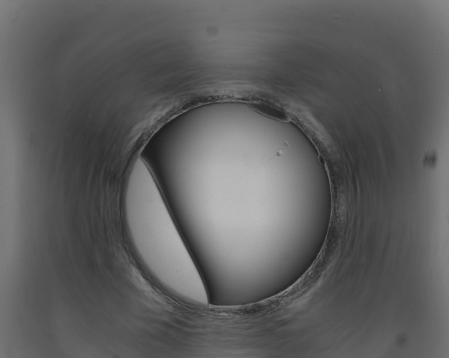 X0000093730585200710160815