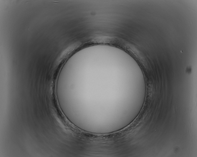 X0000093730586200710160815