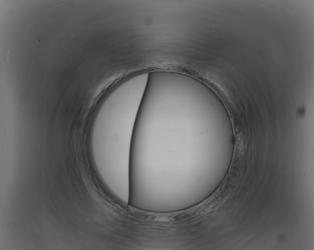X0000093730587200710160815