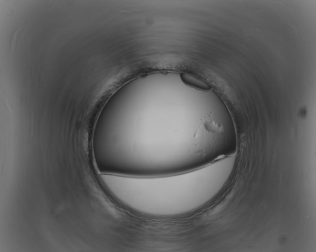 X0000093730589200710160815