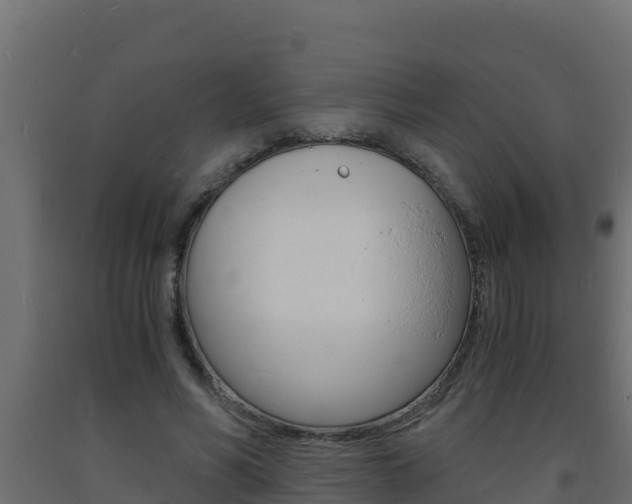 X0000093730590200710160815
