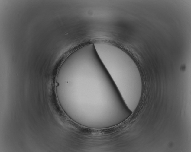 X0000093730591200710160815