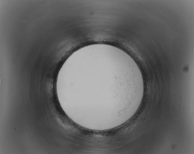 X0000093730592200710160815