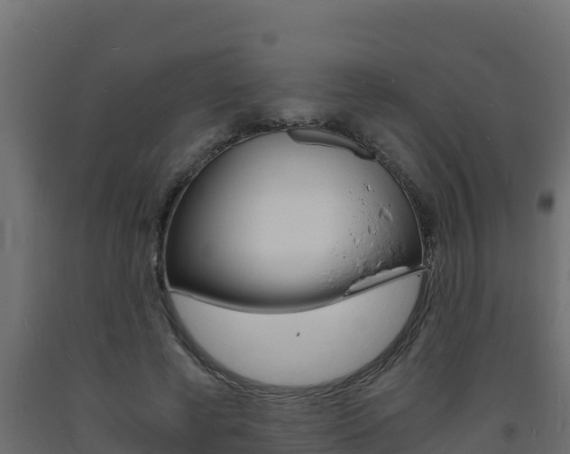 X0000093730593200710160815