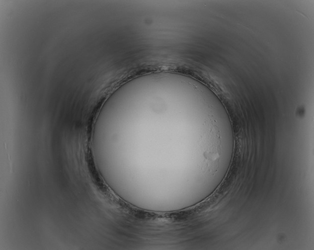 X0000093730594200710160815