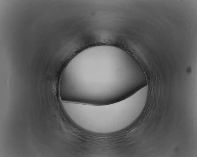 X0000093730595200710160815