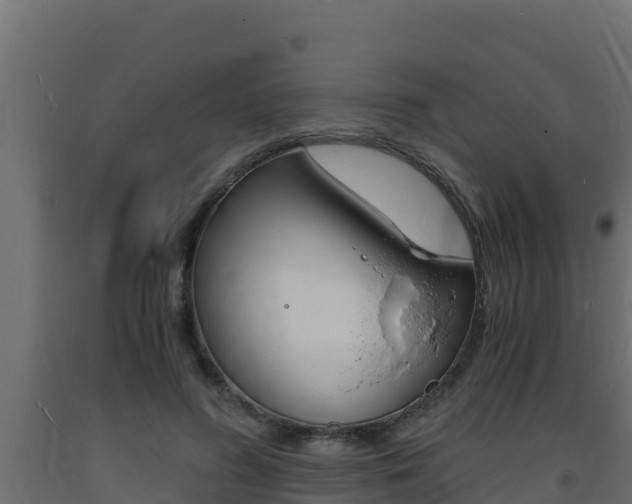 X0000093730596200710160815
