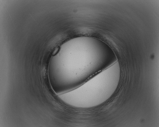 X0000093730597200710160815