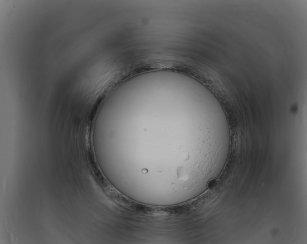 X0000093730598200710160815
