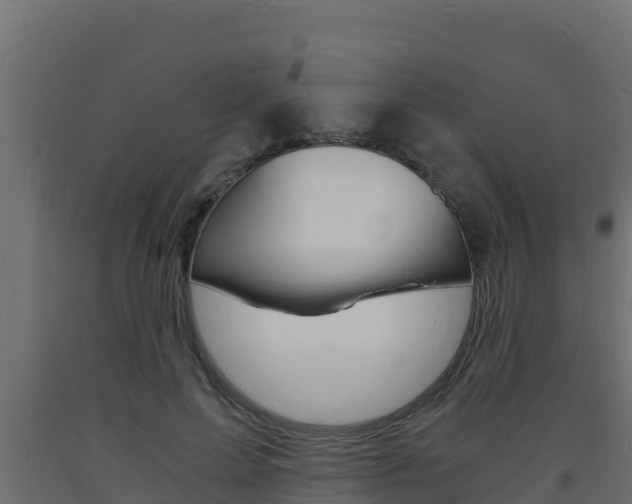 X0000093730599200710160815